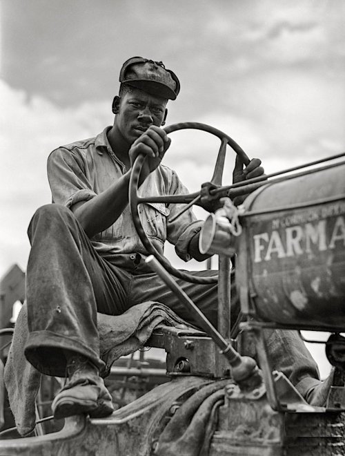 retropopcult: “LA Delta Project. Driver of combine threshing oats. Thomastown, Louisiana.&rdqu