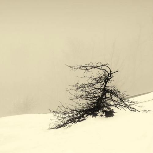 Peter Dusek, Cheltenham badlands, study 1 (2014)