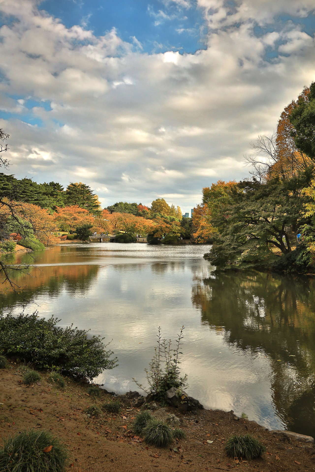 <p>View from today’s photo-walk at Shinjuku Gyoen (Garden), Tokyo.</p>