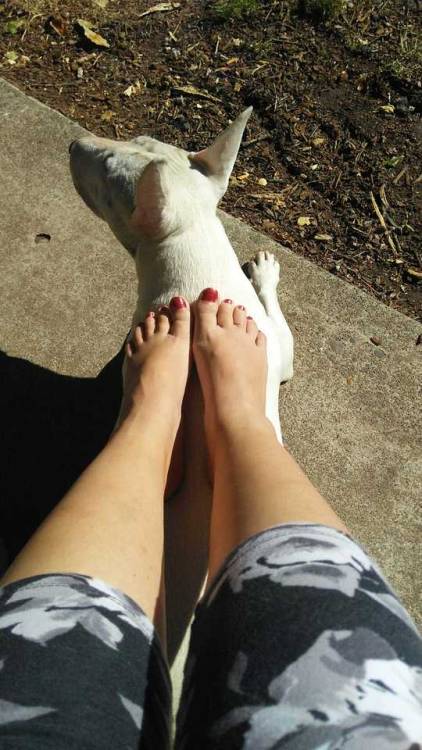 tigerfeet1980: Morning sunning I&rsquo;d love to suck on your feet. There very nice