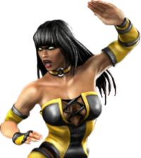 Ah yes the memorable Ninjas of Mortal Kombat