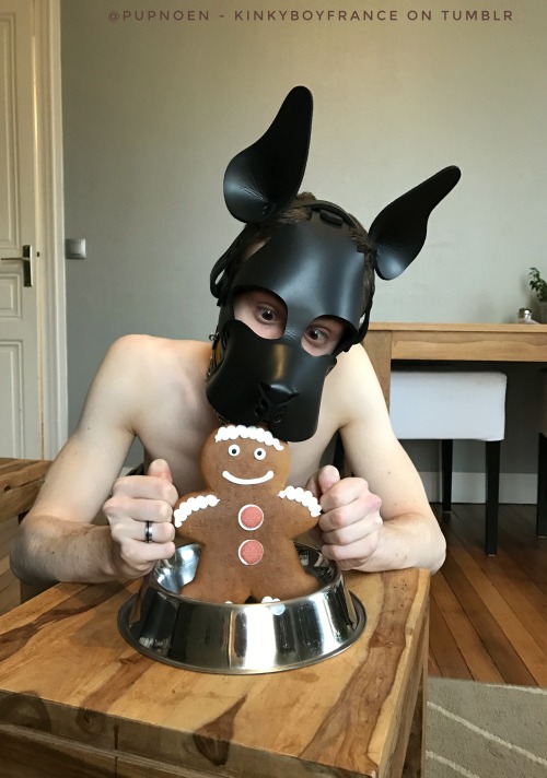 kinkyboyfrance: Last week before Christmas ! Pup is becoming excited 