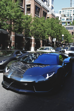 envyavenue:  Aventador x2