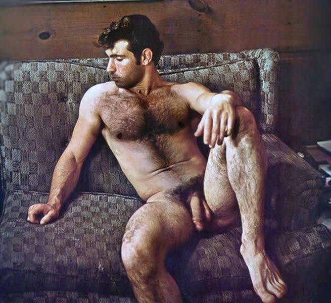 ultraroysworldblog:A SON like this, with a hairy chest, dense bush and a good cock