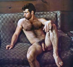 ultraroysworldblog:A SON like this, with a hairy chest, dense bush and a good cock is a dream  yum yum