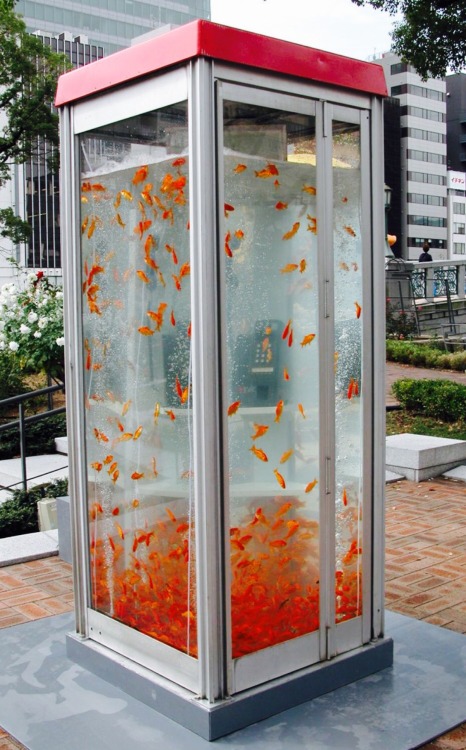 12h51mn:Retro phone booths transformed into goldfish aquariums by KingyobuOsaka, Japan2011