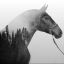 mint-cheval