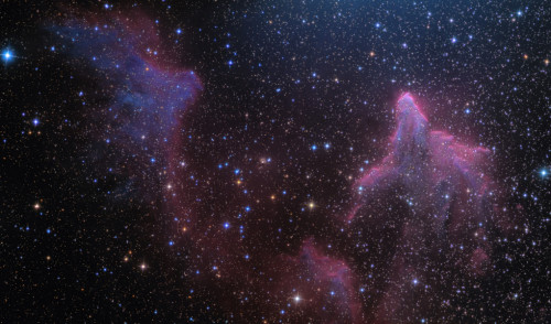 gravitationalbeauty: IC 59 and IC 63 in Cassiopeia