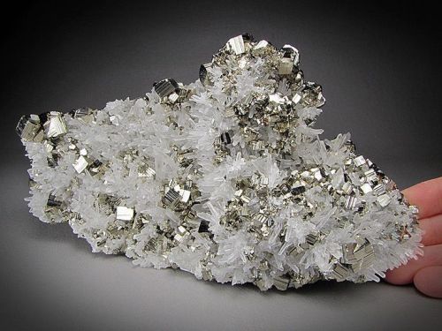 ggeology:    Pyrite and Quartz Crystals // adult photos