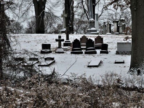 Allegheny Cemetery 1-31-21-22