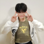 1309core