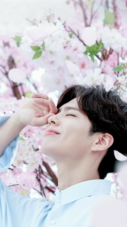 park bogum lockscreens!! please like or reblog if