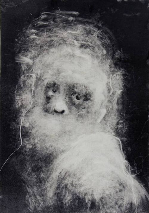 cerceos:Nicole Coson | Tumblr - Ghosts of Human-likeness