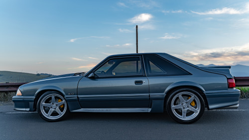 Crazy like a Fox. Mike Smith has owned his 1991 Ford Mustang GT since 2005, but got serious about it