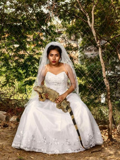 the-bureau-of-propaganda:Zapotec Bride from Juchitán de Zaragoza - Pieter Hugo