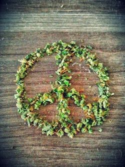 weallloveweed:  Love weed? Follow weallloveweed.tumblr.com!