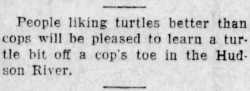axmxz:giraffodil: yesterdaysprint:   The Daily Times, New Philadelphia, Ohio, July 9, 1924   This is like the opposite of clickbait.  The whole story is there.  Behold it.  they don’t make news like they used to, and by they i mean turtles