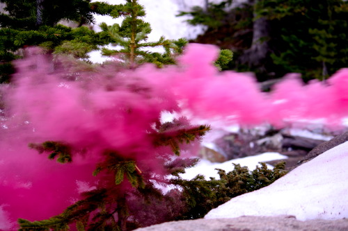 rocky mountain national park