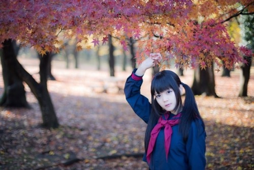 makimisawa:セーラー服ツインテール紅葉と 桜はまだかな