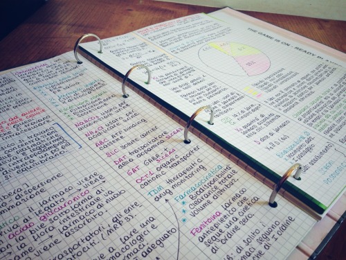 blackmessydesk:My morning study session notes. I’m so proud of them I can’t even… 