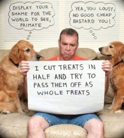 haha-woww:  lolfactory:  Human Shaming☆