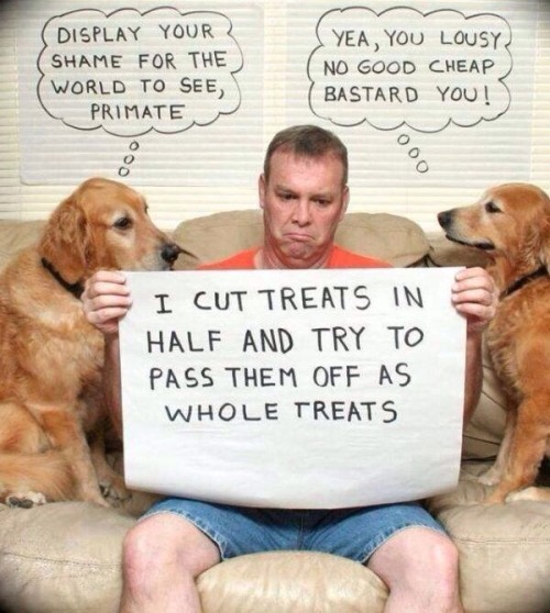haha-woww:  lolfactory:  Human Shaming☆ funny tumblr pictures ☆ MOAR funny pictures  haha…. woww….
