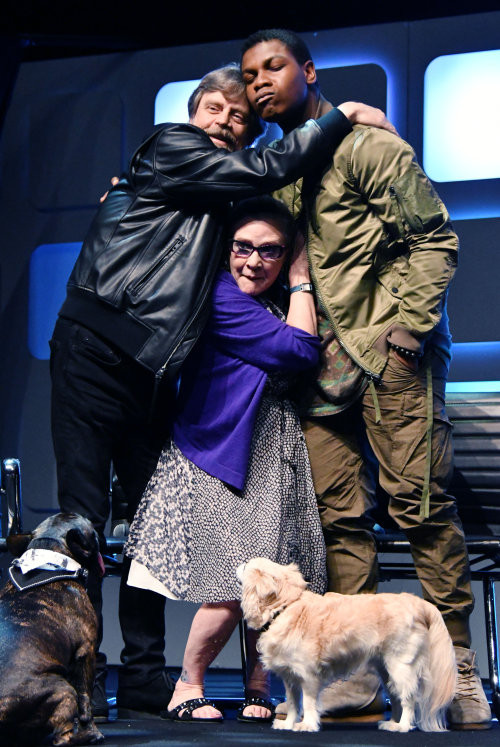 celebritiesofcolor: Mark Hamill, Carrie Fisher and John Boyega on stage during Future Directors Pane