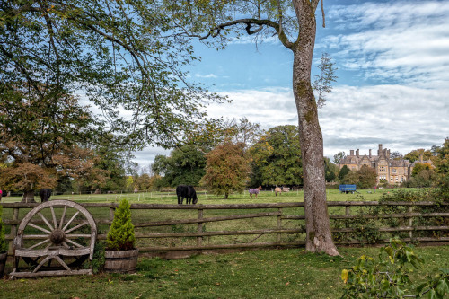 yourstrulymagickghost:spiritusloci: oxfordbybicycle: Oxford by bicycle.10 October, 2020. Oxford to C