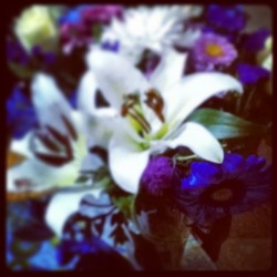 #flowers #stvalentines #february