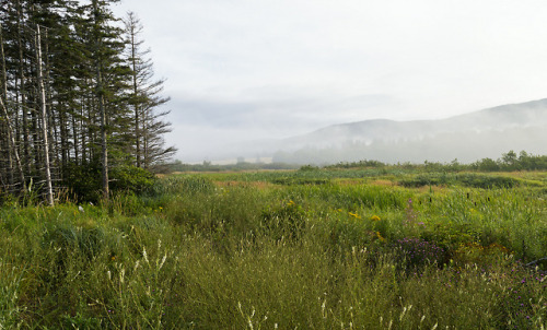 Fog Rolling Through the Hills by TheNovaScotian1991