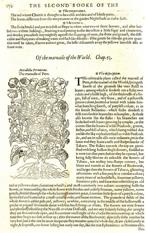 Science Saturday: Gerard’s HerballAmong our favorite books in the collection is the 1597 first