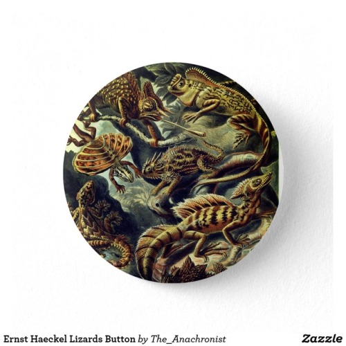 Ernst Haeckel Lizards Button