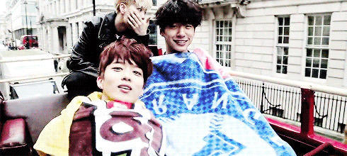 bap-ftw:  Hamster feeling cold ;w; ♥