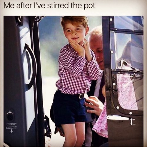 Oh my.