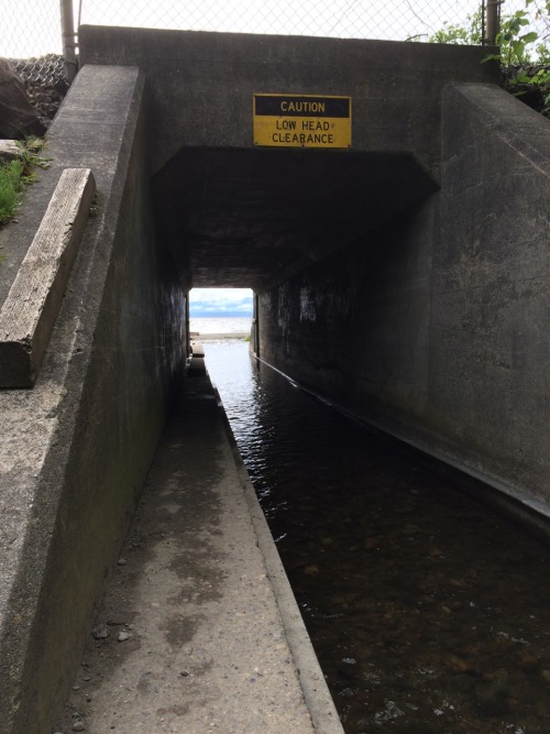 Meadowdale Beach Park, 04.23.16 by: pnwtexan … I recently moved to the Lynnwood area and foun