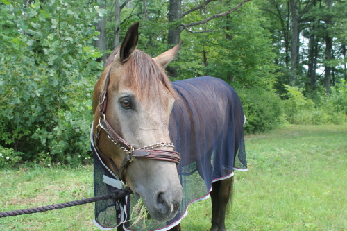 jumper-bitch: handsome man <3