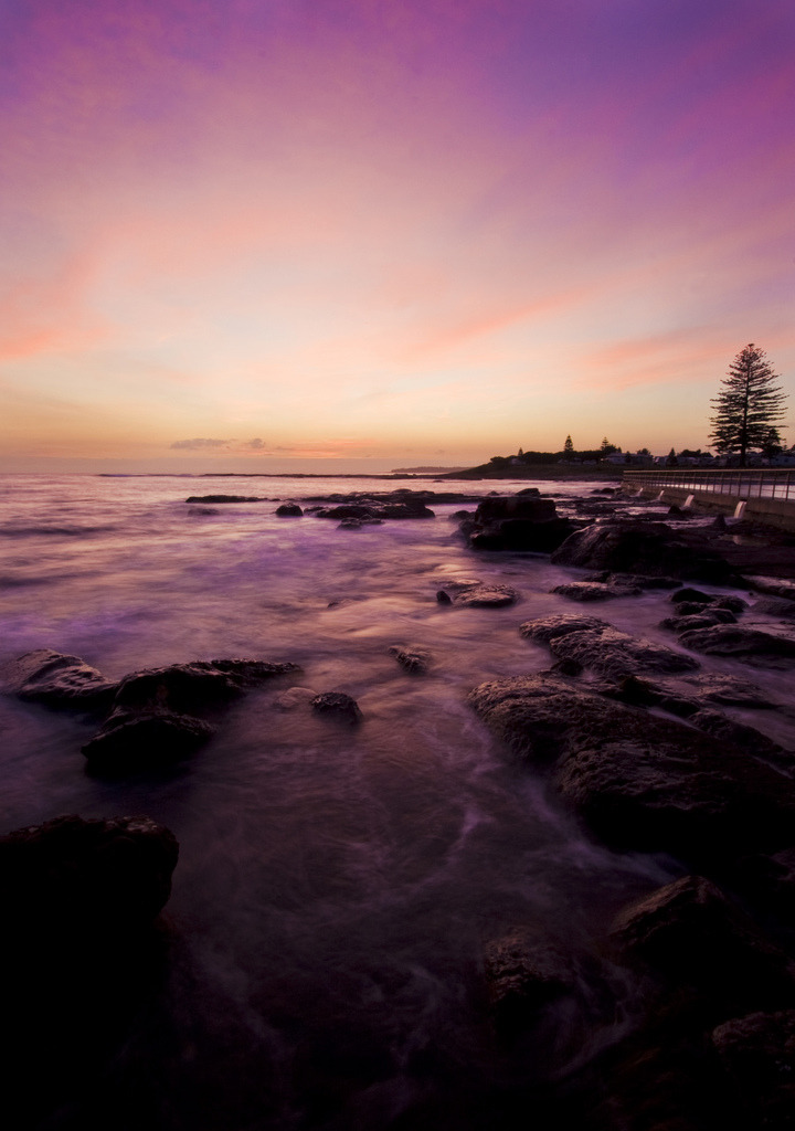 asthmas:  purple (by Timmay)  