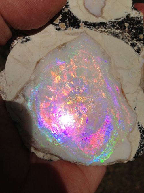 for you crazy opal Lovers :)this specimen is a Geyser Opal from Spencer Idaho, USA. Enjoy the freaky nature!!