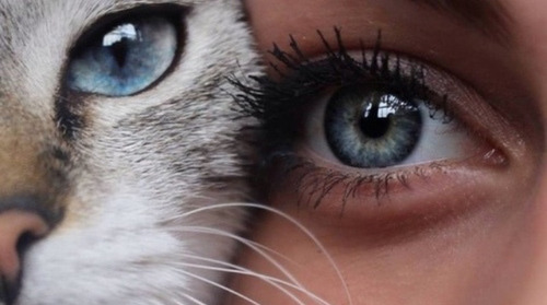 docessentimentos:  <3