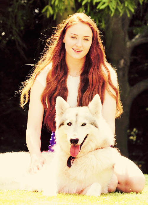 sophiestunner:    “Growing up I always wanted a dog, but my parents never wanted one. We kind of fell in love with my character’s dire wolf, Lady, on set.”   