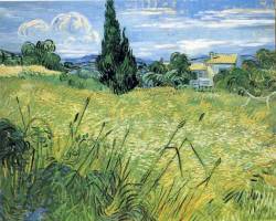 artist-vangogh: Green Wheat Field with Cypress, Vincent van Gogh Medium: oil,canvashttps://www.wikiart.org/en/vincent-van-gogh/green-wheat-field-with-cypress-1889-1 