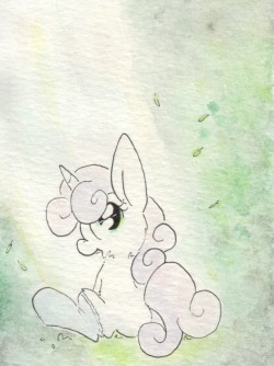 slightlyshade:Oh! A little pony on the grass!