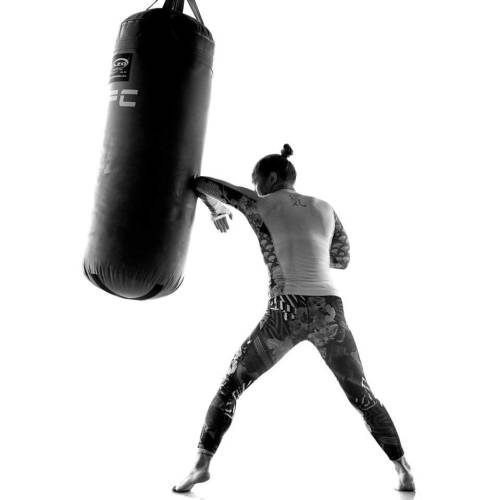 The History of Fighting