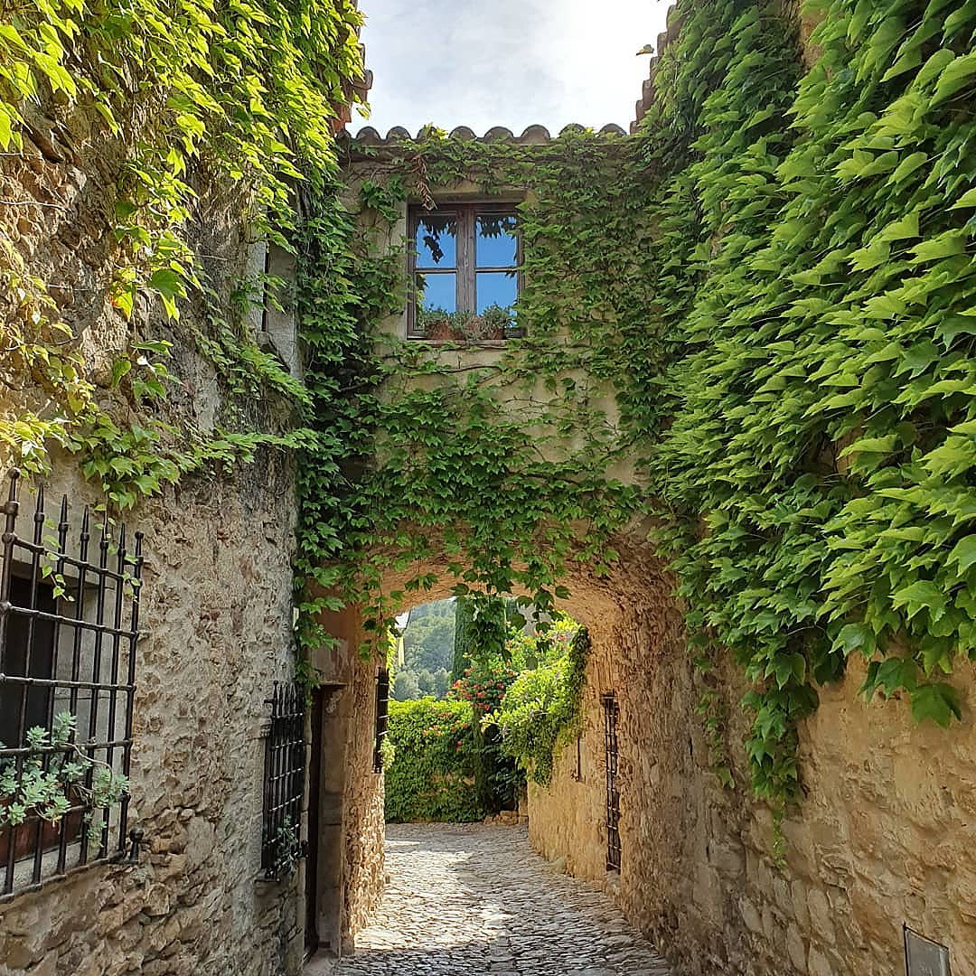 infected:  Peratallada, Spain by davidmnco