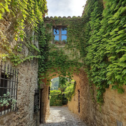 infected:  Peratallada, Spain by davidmnco