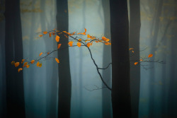 bamby387:  definitelydope:  Autumn Moods, Krasi Matarov  💋💋