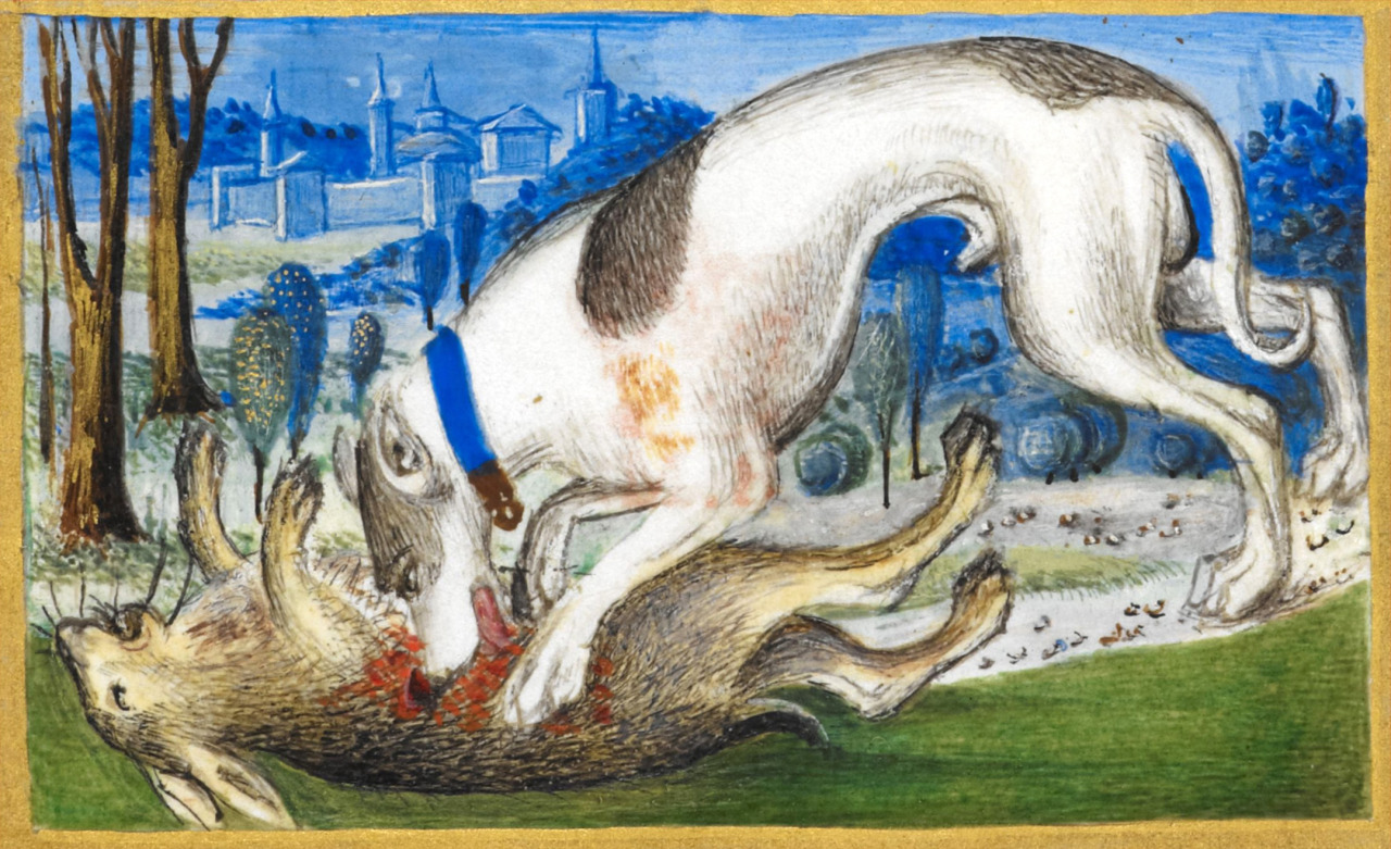 discardingimages:
“Easter Bunny
‘Sforza Hours’, Milan 1490.
BL, Add 34294, fol. 45r
”