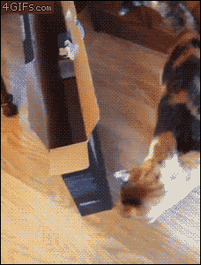 georgetakei:  If I fits…