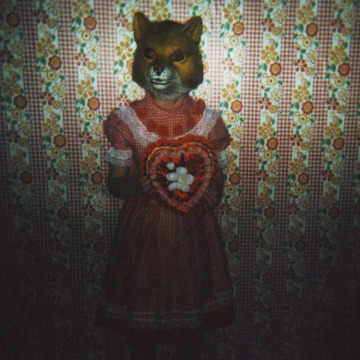 graceandgirlhood:Valentine Fox