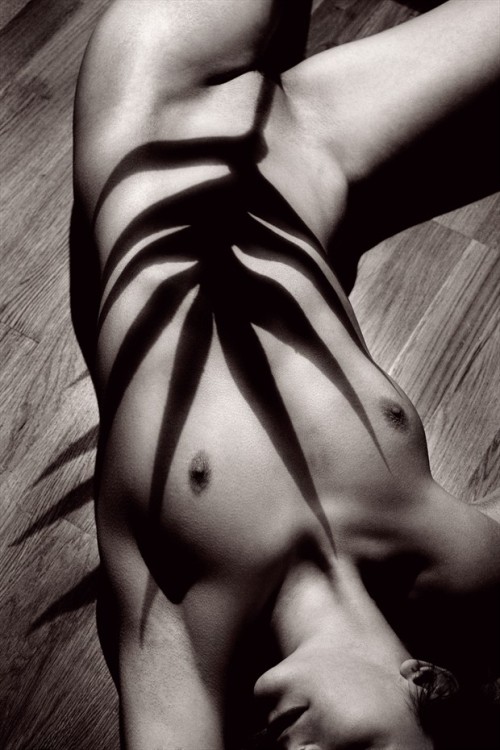 newyork-witch:  babinus:Mieux qu’une Palme d’Or…by Nick_Giles
